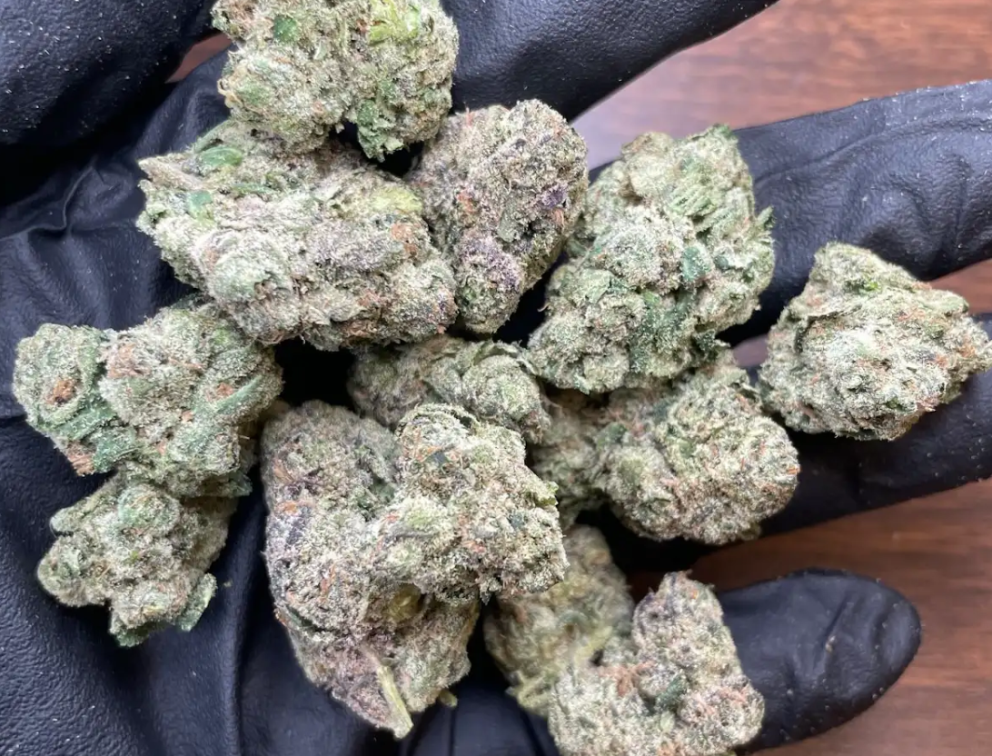 🐍 Purple Peach Venom