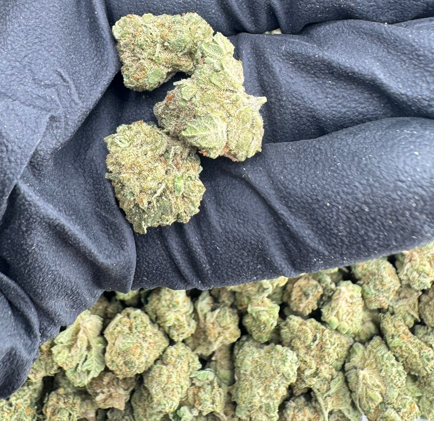 Genesis Gelato THCA flower nug by CALI FLWR — organically grown, lab tested cannabis.