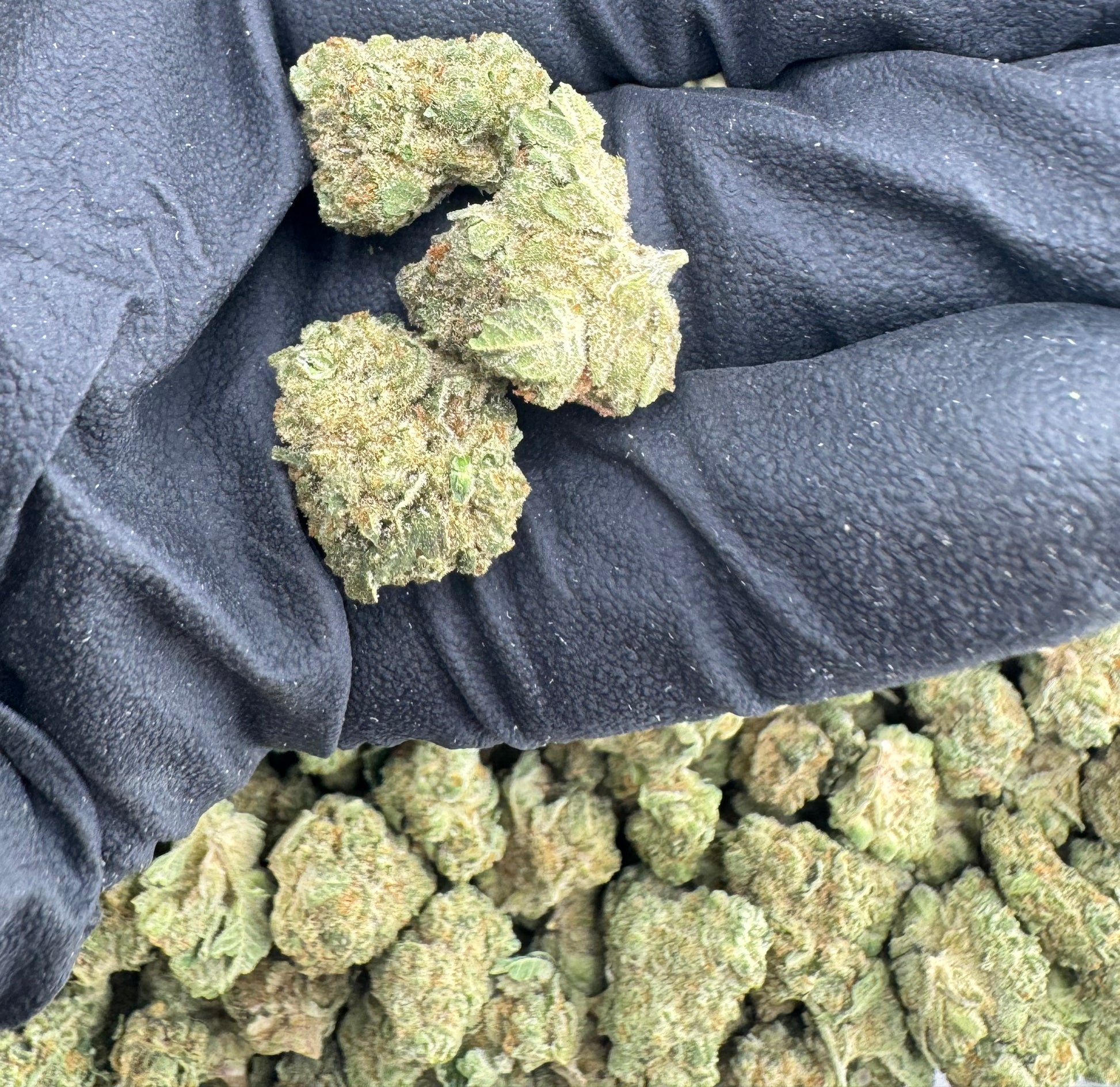 Genesis Gelato THCA flower nug by CALI FLWR — organically grown, lab tested cannabis.